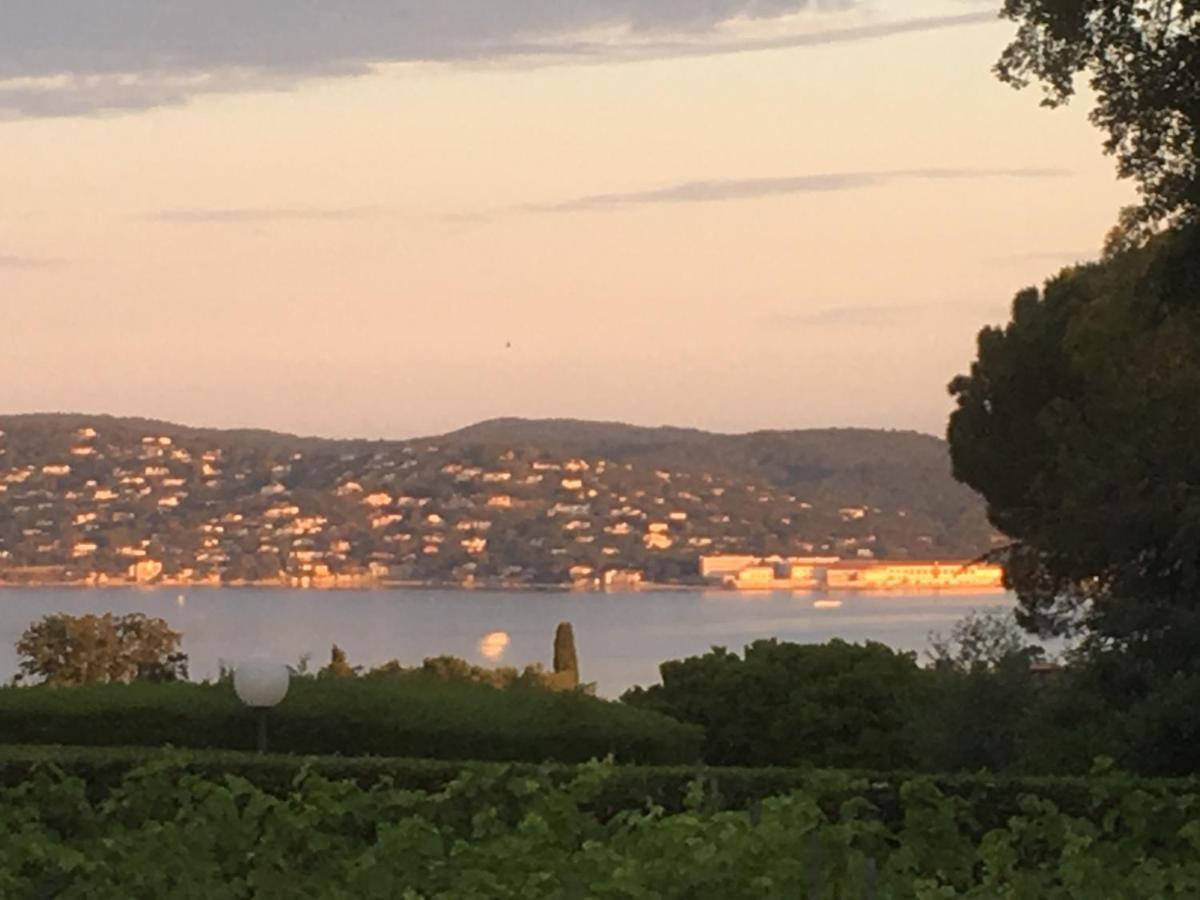 Lovely "Provence" Villa With Sea View, Private Heated Pool, Airco And Beautiful Garden Grimaud Exterior photo