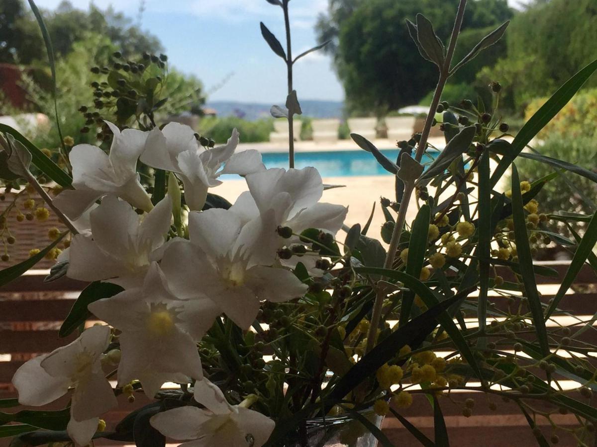 Lovely "Provence" Villa With Sea View, Private Heated Pool, Airco And Beautiful Garden Grimaud Exterior photo